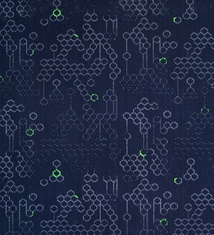 POLYESTER/KDK 