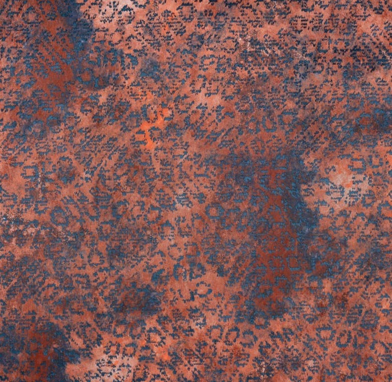 EDEN-DG-TP