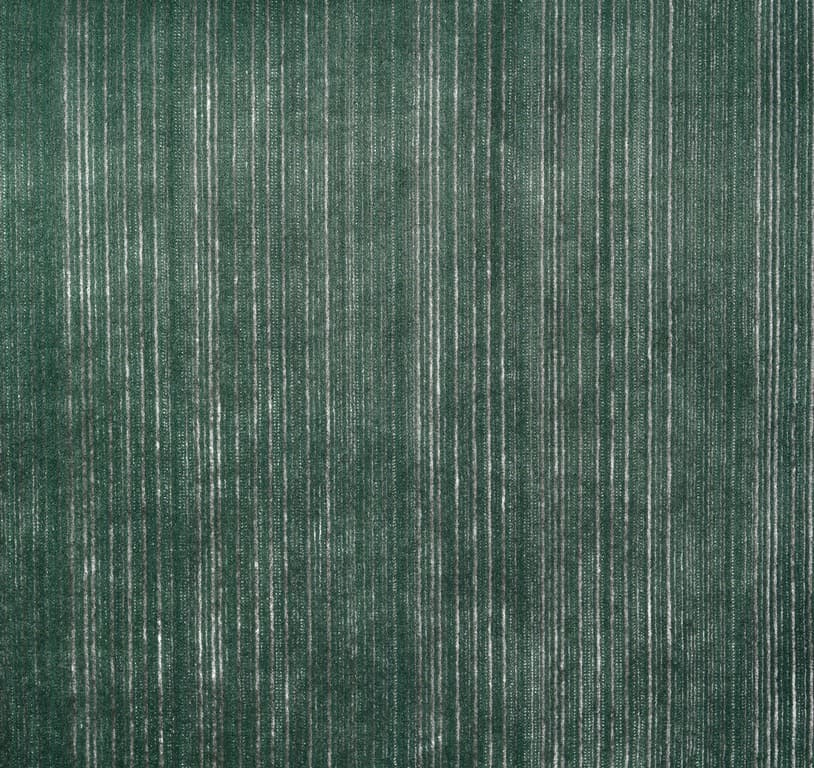 EDEN