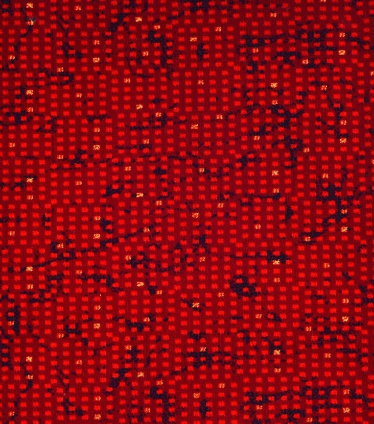 POLYESTER/KDK 